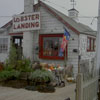 lobster landing