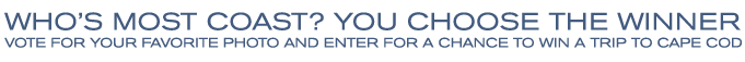 vote for your favorite photo